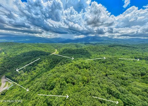 Tiny photo for Birds Creek Rd, Gatlinburg, TN 37738 (MLS # 1309663)