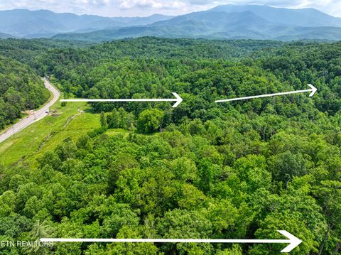 Tiny photo for Birds Creek Rd, Gatlinburg, TN 37738 (MLS # 1309663)