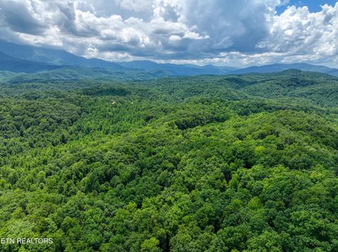 Tiny photo for Birds Creek Rd, Gatlinburg, TN 37738 (MLS # 1309663)
