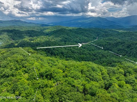 Tiny photo for Birds Creek Rd, Gatlinburg, TN 37738 (MLS # 1309663)