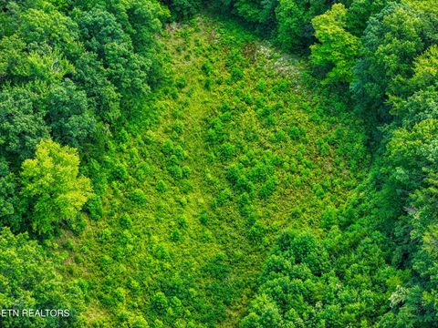 Tiny photo for Birds Creek Rd, Gatlinburg, TN 37738 (MLS # 1309663)