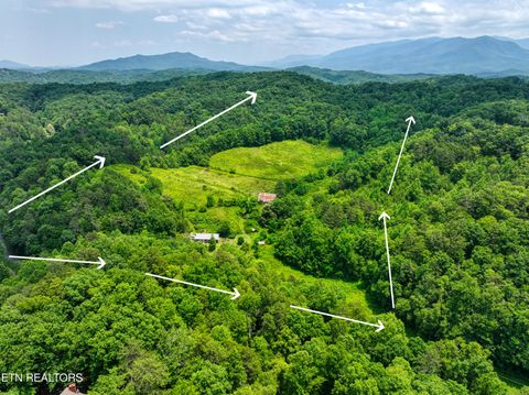 Tiny photo for Birds Creek Rd, Gatlinburg, TN 37738 (MLS # 1309663)
