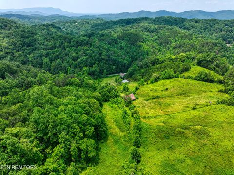 Tiny photo for Birds Creek Rd, Gatlinburg, TN 37738 (MLS # 1309663)