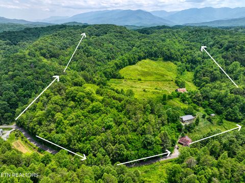 Tiny photo for Birds Creek Rd, Gatlinburg, TN 37738 (MLS # 1309663)