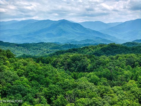 Tiny photo for Birds Creek Rd, Gatlinburg, TN 37738 (MLS # 1309663)