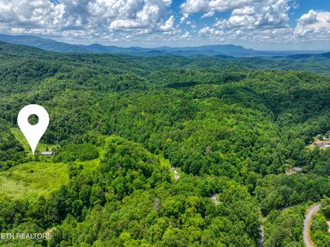 Tiny photo for Birds Creek Rd, Gatlinburg, TN 37738 (MLS # 1309663)