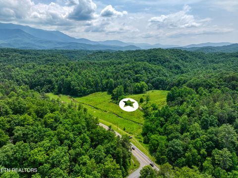 Tiny photo for Birds Creek Rd, Gatlinburg, TN 37738 (MLS # 1309663)