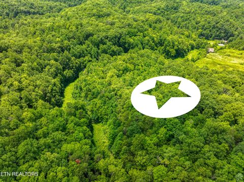 Tiny photo for Birds Creek Rd, Gatlinburg, TN 37738 (MLS # 1309663)