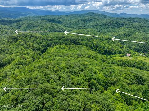Tiny photo for Birds Creek Rd, Gatlinburg, TN 37738 (MLS # 1309663)