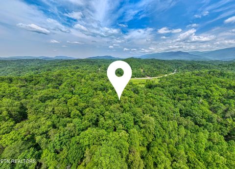 Tiny photo for Birds Creek Rd, Gatlinburg, TN 37738 (MLS # 1309663)
