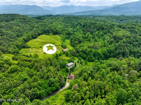 Tiny photo for Birds Creek Rd, Gatlinburg, TN 37738 (MLS # 1309663)