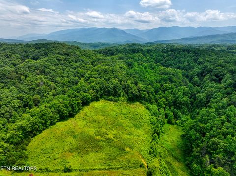 Tiny photo for Birds Creek Rd, Gatlinburg, TN 37738 (MLS # 1309663)