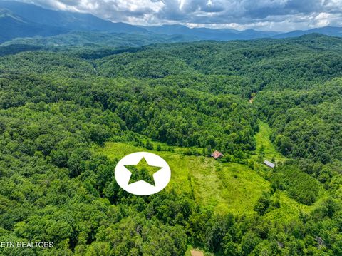 Tiny photo for Birds Creek Rd, Gatlinburg, TN 37738 (MLS # 1309663)