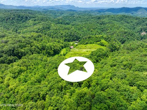 Tiny photo for Birds Creek Rd, Gatlinburg, TN 37738 (MLS # 1309663)