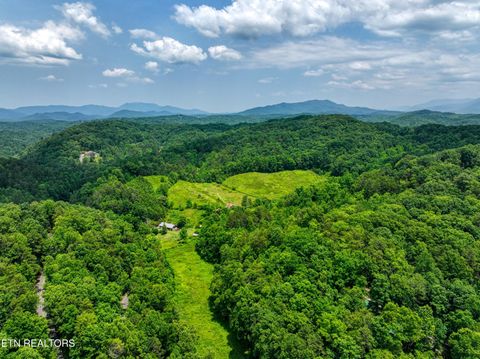Tiny photo for Birds Creek Rd, Gatlinburg, TN 37738 (MLS # 1309663)