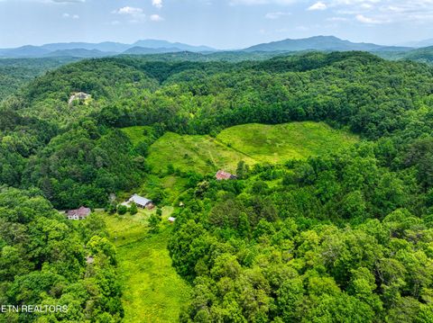 Tiny photo for Birds Creek Rd, Gatlinburg, TN 37738 (MLS # 1309663)