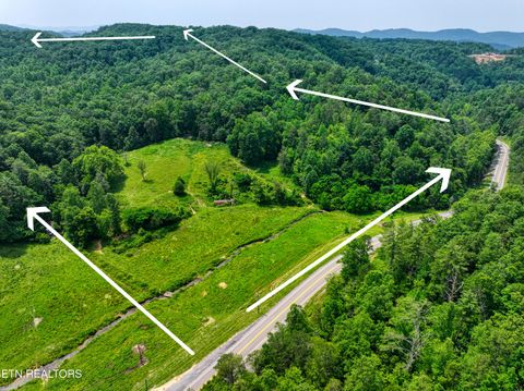 Tiny photo for Birds Creek Rd, Gatlinburg, TN 37738 (MLS # 1309663)