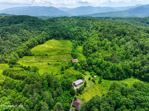 Tiny photo for Birds Creek Rd, Gatlinburg, TN 37738 (MLS # 1309663)