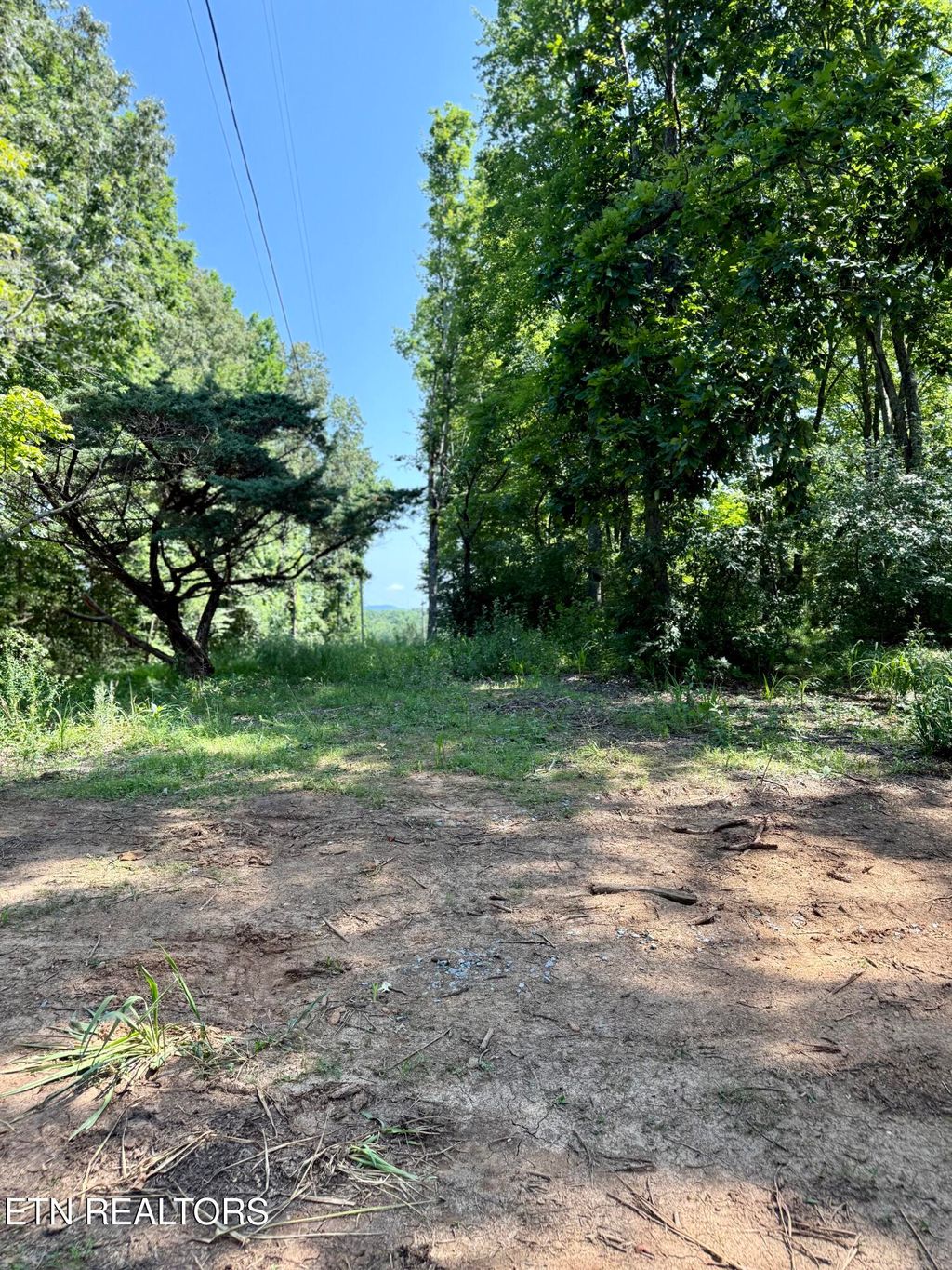 Photo of 561 New Providence Rd, Tellico Plains, TN 37385 (MLS # 1306393)