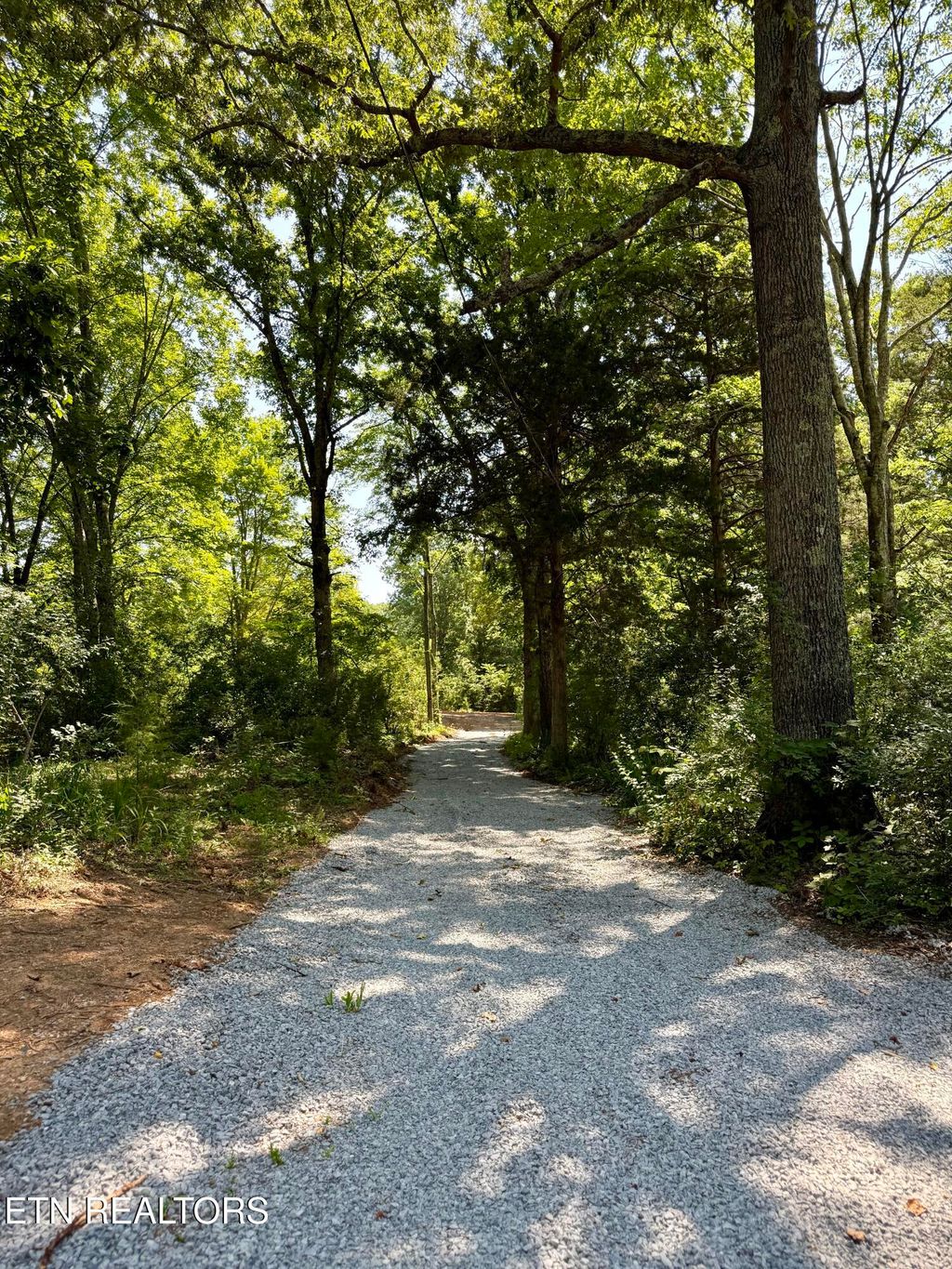 Photo of 561 New Providence Rd, Tellico Plains, TN 37385 (MLS # 1306393)