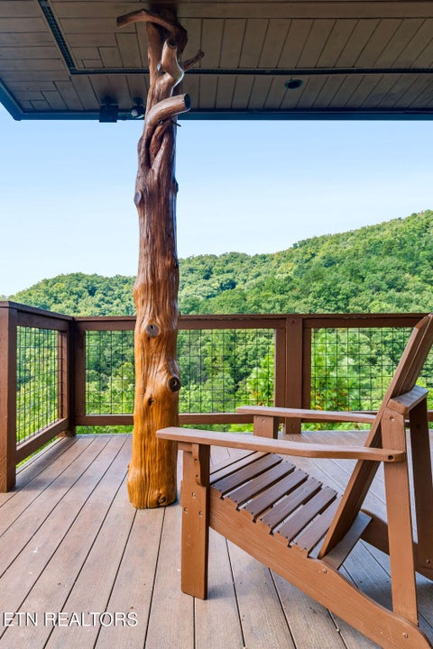 Tiny photo for 1441 Mountain Ash Way, Sevierville, TN 37876 (MLS # 1355738)