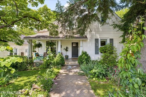 Photo of 407 E Oak Hill Ave, Knoxville, TN 37917 (MLS # 1319039)