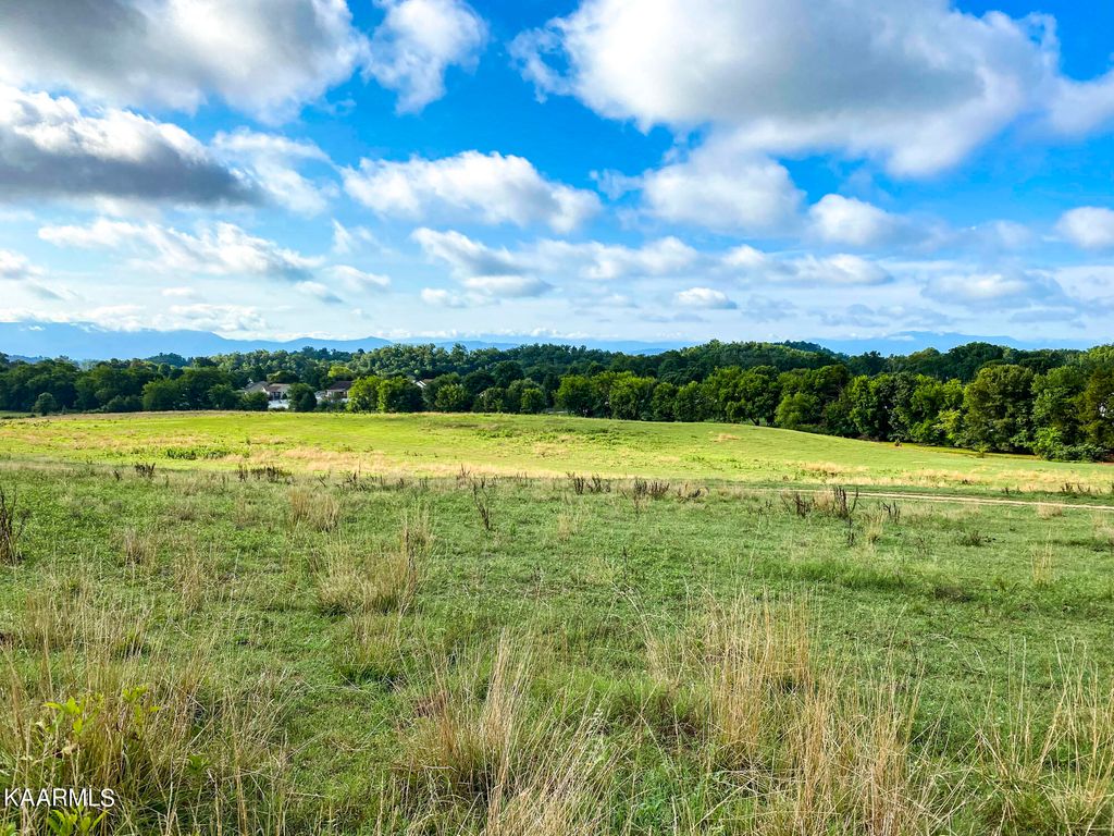 Photo of Hwy 139, Dandridge, TN 37725 (MLS # 1199138)