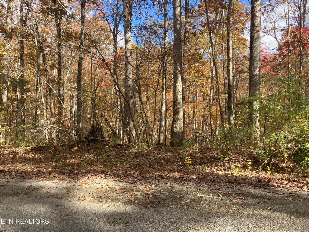 Photo of 165 Devon Rd, Crossville, TN 38558 (MLS # 1327186)