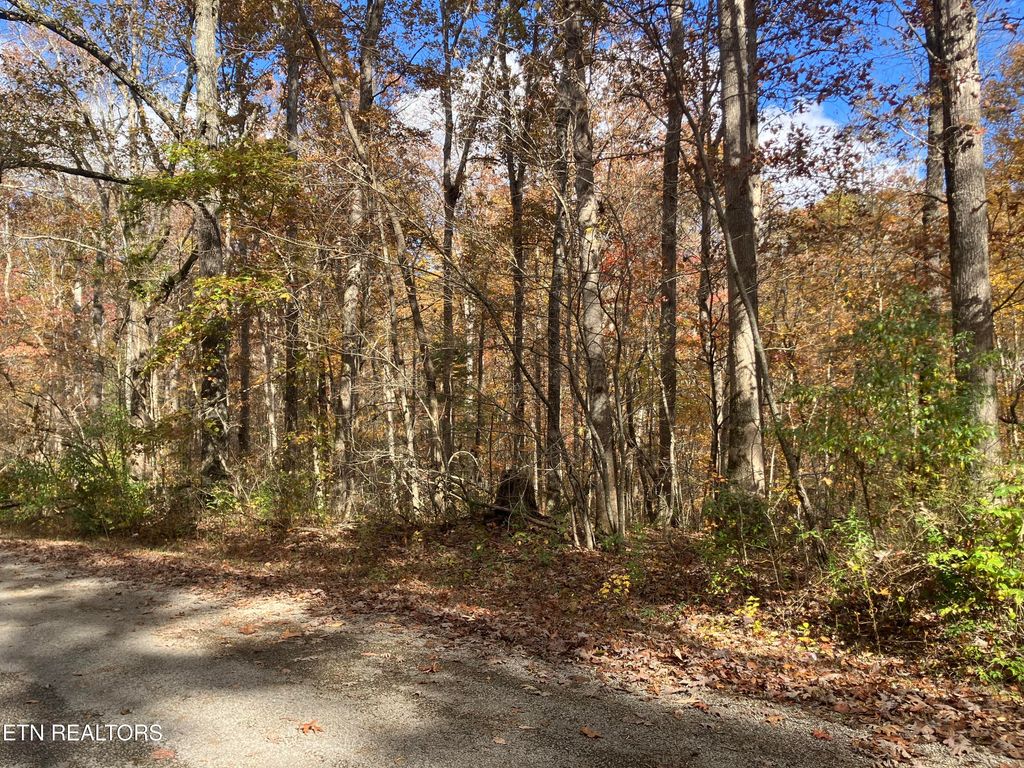 Photo of 165 Devon Rd, Crossville, TN 38558 (MLS # 1327186)