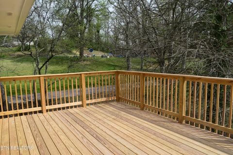 Tiny photo for 153 Watson Circle, Clinton, TN 37716 (MLS # 1335569)