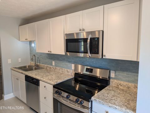 Tiny photo for 153 Watson Circle, Clinton, TN 37716 (MLS # 1335569)