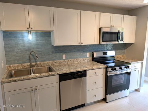 Tiny photo for 153 Watson Circle, Clinton, TN 37716 (MLS # 1335569)