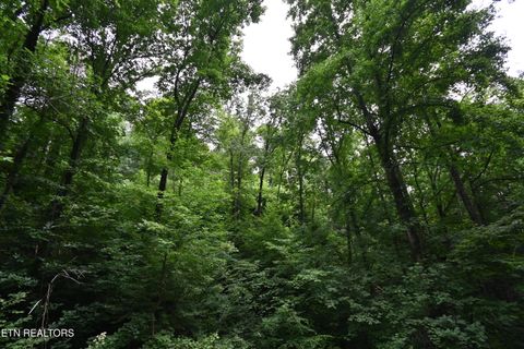 Tiny photo for Heiden Drive, Gatlinburg, TN 37738 (MLS # 1309658)