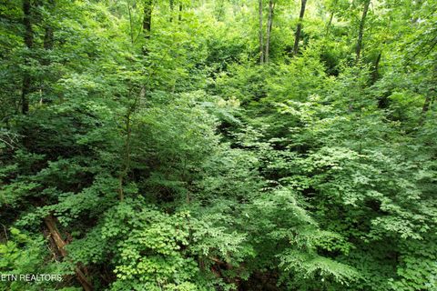 Tiny photo for Heiden Drive, Gatlinburg, TN 37738 (MLS # 1309658)