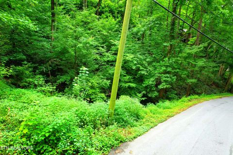 Tiny photo for Heiden Drive, Gatlinburg, TN 37738 (MLS # 1309658)