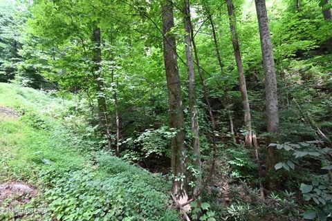 Tiny photo for Heiden Drive, Gatlinburg, TN 37738 (MLS # 1309658)