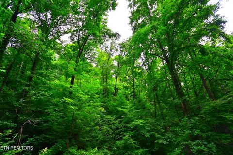 Tiny photo for Heiden Drive, Gatlinburg, TN 37738 (MLS # 1309658)