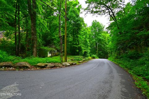 Tiny photo for Heiden Drive, Gatlinburg, TN 37738 (MLS # 1309658)