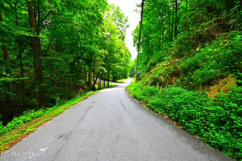 Tiny photo for Heiden Drive, Gatlinburg, TN 37738 (MLS # 1309658)
