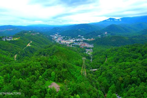 Tiny photo for Heiden Drive, Gatlinburg, TN 37738 (MLS # 1309658)