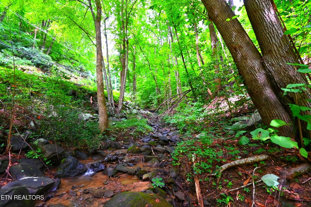 Photo of Heiden Drive, Gatlinburg, TN 37738 (MLS # 1309658)