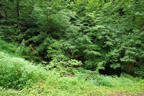 Tiny photo for Heiden Drive, Gatlinburg, TN 37738 (MLS # 1309658)