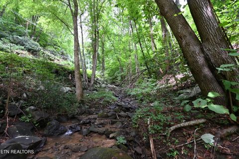 Tiny photo for Heiden Drive, Gatlinburg, TN 37738 (MLS # 1309658)
