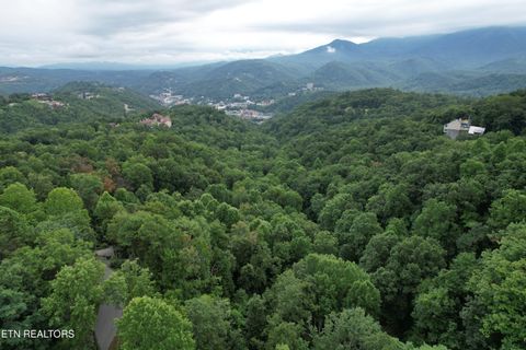 Tiny photo for Heiden Drive, Gatlinburg, TN 37738 (MLS # 1309658)