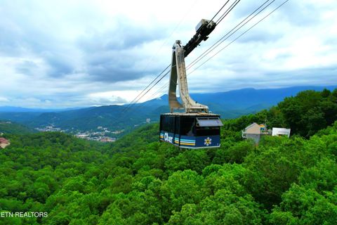 Tiny photo for Heiden Drive, Gatlinburg, TN 37738 (MLS # 1309658)