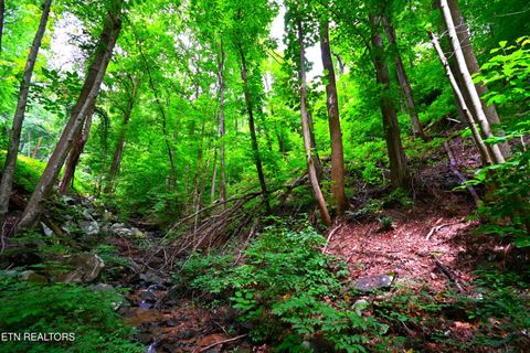 Tiny photo for Heiden Drive, Gatlinburg, TN 37738 (MLS # 1309658)