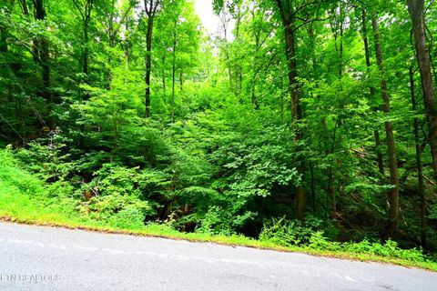 Tiny photo for Heiden Drive, Gatlinburg, TN 37738 (MLS # 1309658)