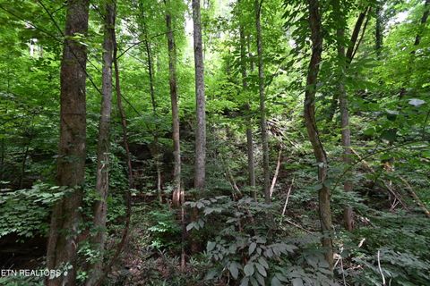 Tiny photo for Heiden Drive, Gatlinburg, TN 37738 (MLS # 1309658)