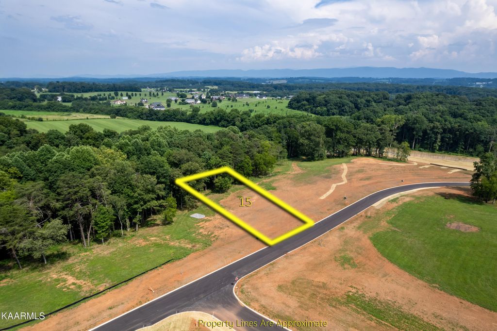 Photo of 15918 Sophie Drive, Greenback, TN 37742 (MLS # 1234954)