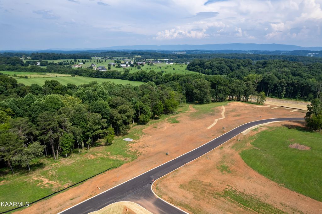 Photo of 15918 Sophie Drive, Greenback, TN 37742 (MLS # 1234954)